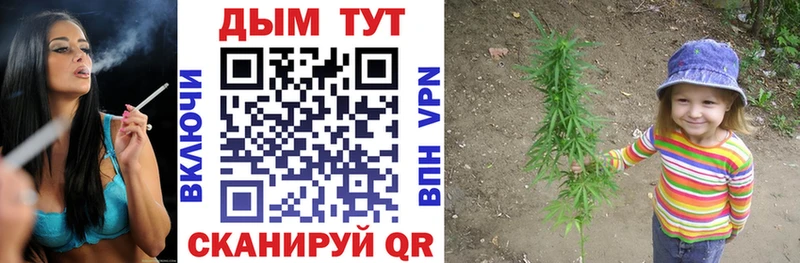 где продают   Бавлы  Бошки марихуана сатива 